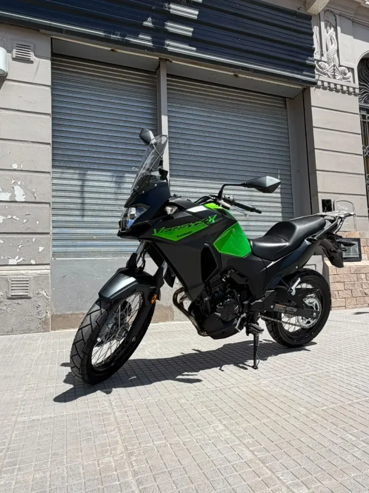 Kawasaki VERSYS 300